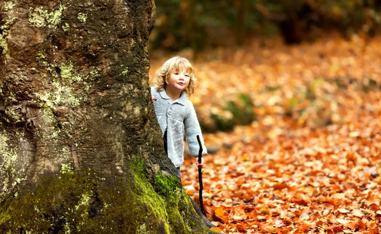 Идеи Для Осенних Фото На Природе